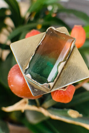 Anillo Dual