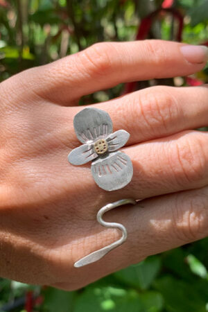 anillo begonia