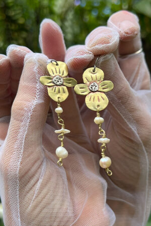arete begonia
